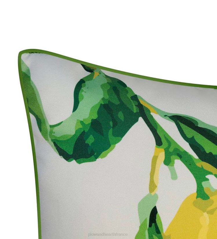 Plow & Hearth articles ménagers citron du jardin botanique de new york coussin 0BNZ1262