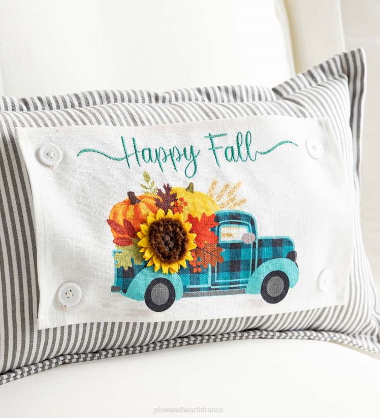 Plow & Hearth articles ménagers coussin lombaire à fines rayures avec 5 panneaux interchangeables, 20