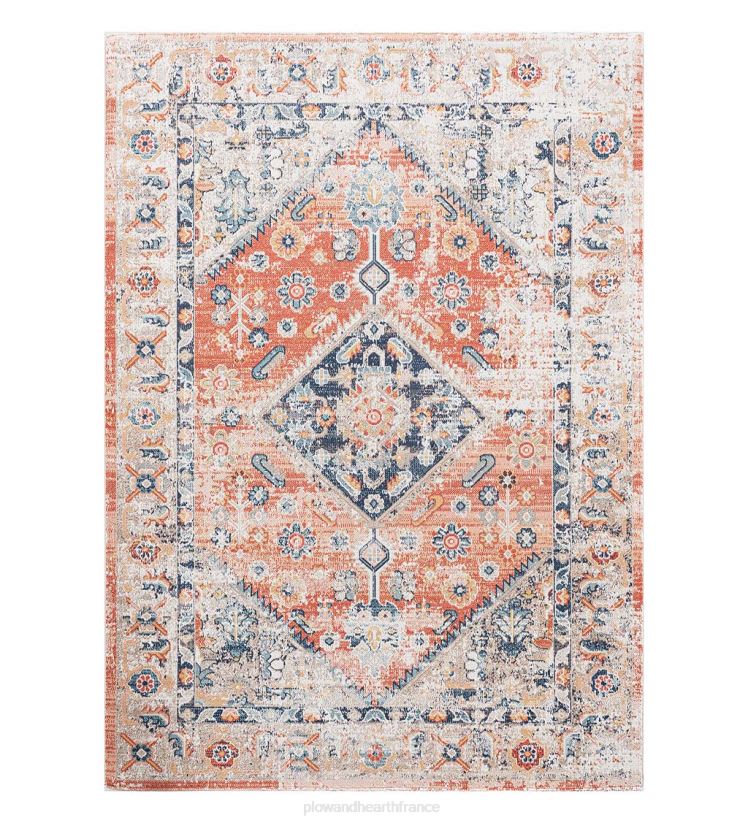 Plow & Hearth articles ménagers Tapis traditionnel pénélope intérieur/extérieur 0BNZ1373
