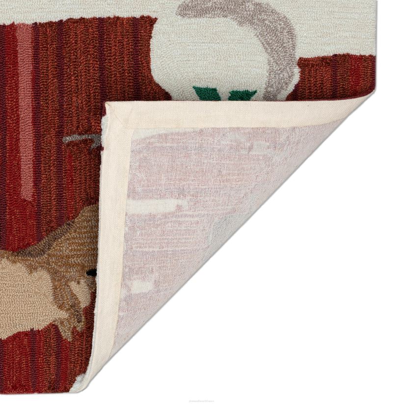 Plow & Hearth articles ménagers tapis d'accent intérieur/extérieur crocheté à la main 0BNZ1328