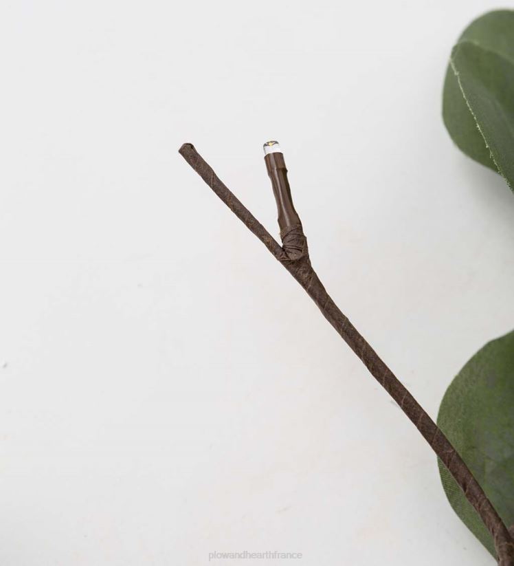 Plow & Hearth articles ménagers Branches d'eucalyptus lumineuses à piles intérieur/extérieur, lot de 2 0BNZ1677