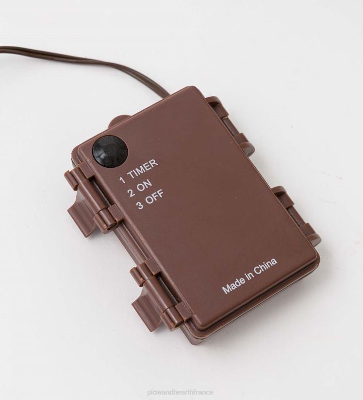 Plow & Hearth articles ménagers Branches d'eucalyptus lumineuses à piles intérieur/extérieur, lot de 2 0BNZ1677