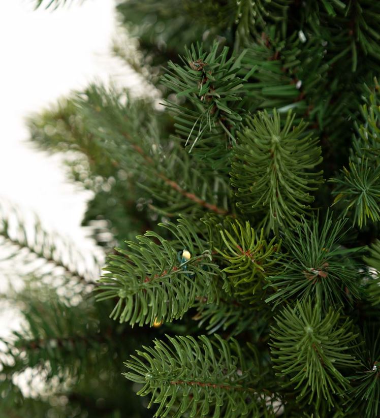 Plow & Hearth articles ménagers Pin en pot Keswick intérieur/extérieur avec LED blanc chaud 0BNZ1671