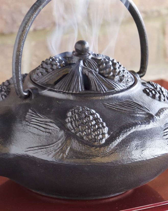 Plow & Hearth accessoires Cuiseur vapeur en fonte avec poêle à bois et motif pomme de pin - Noir 0BNZ2840