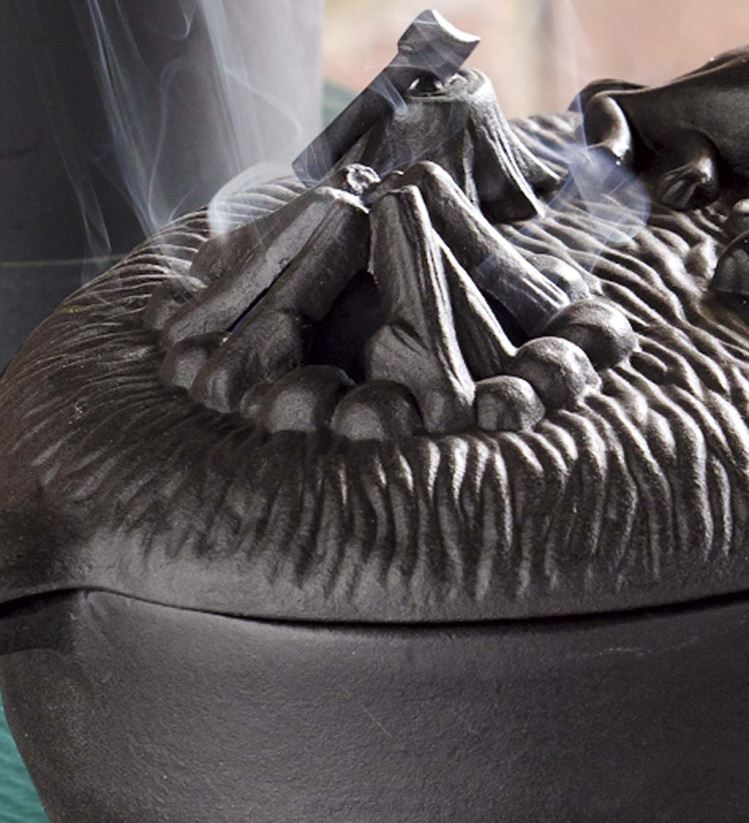 Plow & Hearth accessoires Poêle à bois pour chien en fonte - Noir 0BNZ2836