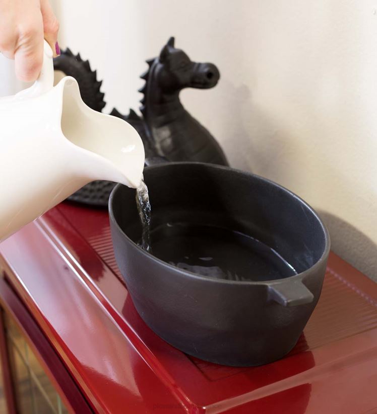 Plow & Hearth accessoires Poêle à vapeur dragon en fonte - noir 0BNZ2837