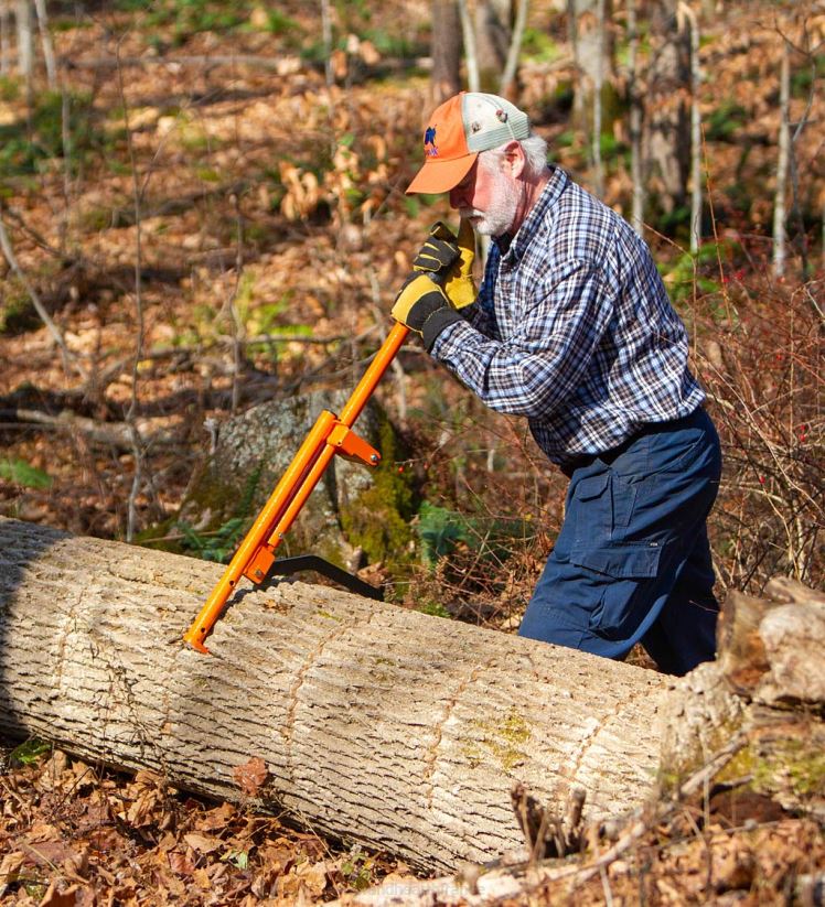 Plow & Hearth accessoires outil multifonction forestier ergonomique 3-en-1 0BNZ2959