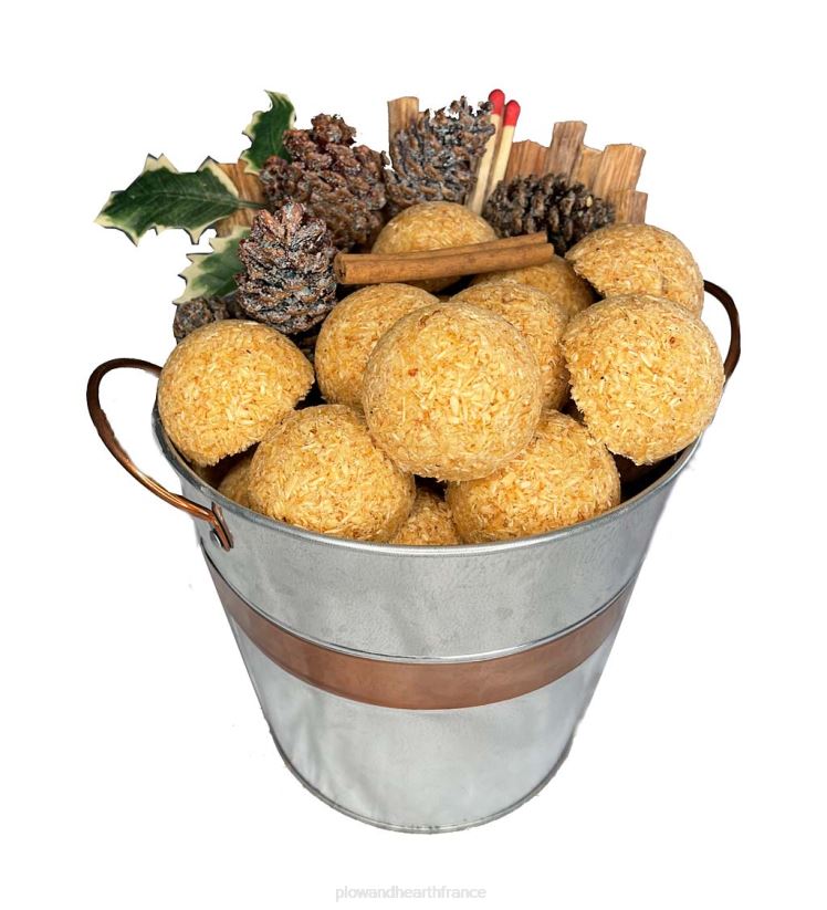 Plow & Hearth cheminée Coffret cadeau allume-feu dans un seau galvanisé 0BNZ2709