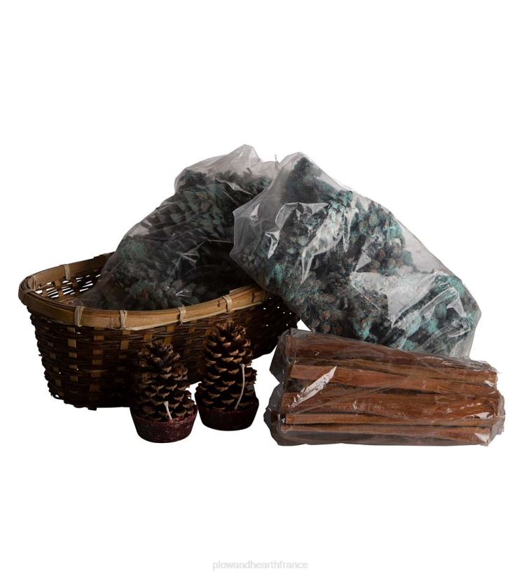 Plow & Hearth cheminée Panier-cadeau de vacances allume-feu avec bois gras, cônes de couleur et cônes de cire 0BNZ2706