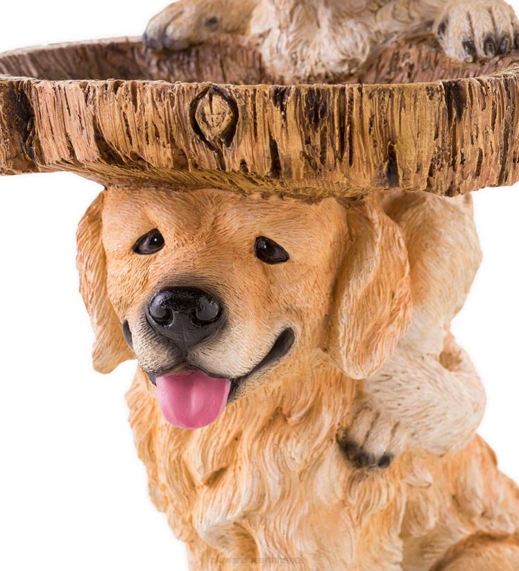 Plow & Hearth cour et jardin bain d'oiseaux pour chiots ludiques 0BNZ90