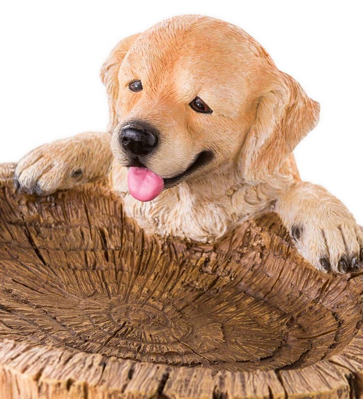 Plow & Hearth cour et jardin bain d'oiseaux pour chiots ludiques 0BNZ90