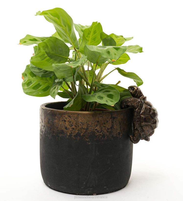 Plow & Hearth cour et jardin cintre de pot de copain de pot de tortue 0BNZ395