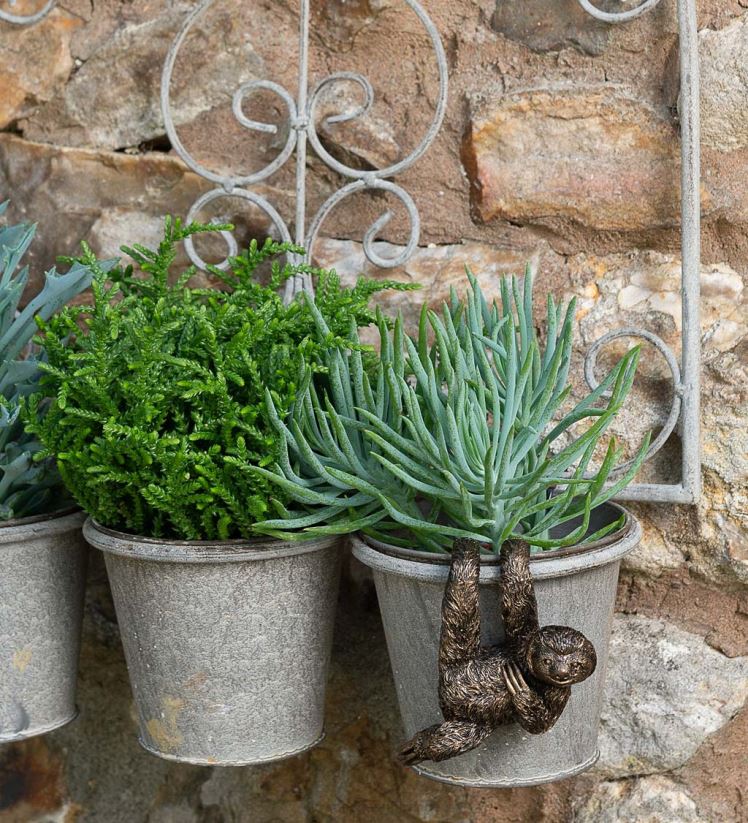 Plow & Hearth cour et jardin cintre de pot de copain de pot paresseux 0BNZ237