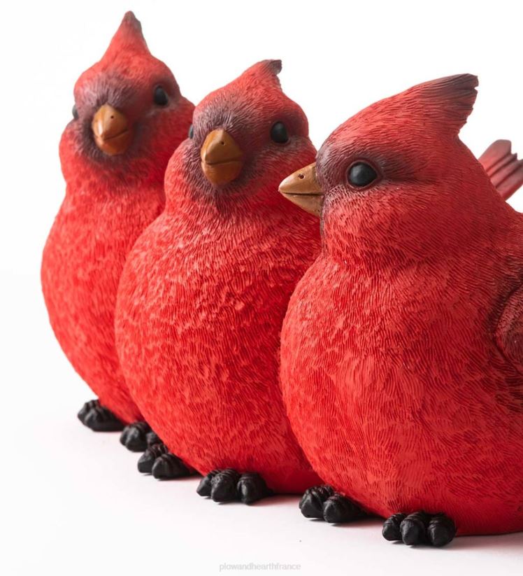 Plow & Hearth cour et jardin jardinière trio cardinal intérieur/extérieur 0BNZ85