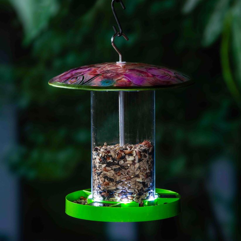 Plow & Hearth cour et jardin mangeoire solaire éclairée pour oiseaux - papillon 0BNZ235