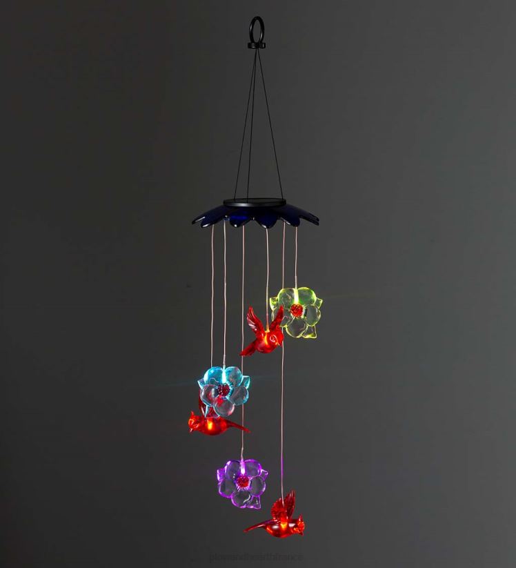 Plow & Hearth cour et jardin mobile solaire aux couleurs changeantes avec cardinaux et fleurs 0BNZ303