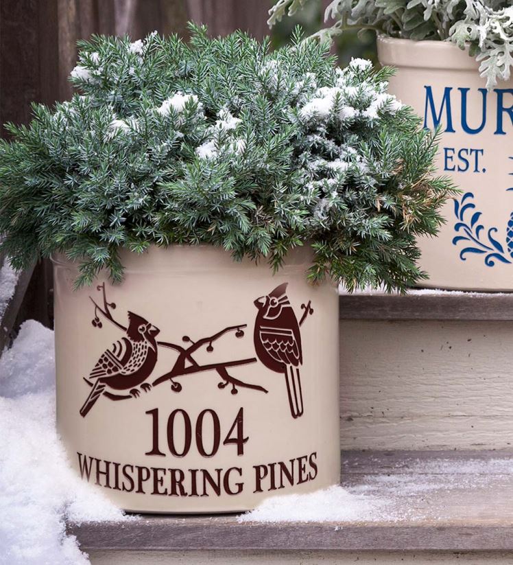 Plow & Hearth cour et jardin pot en grès adresse cardinal - rouge 0BNZ100