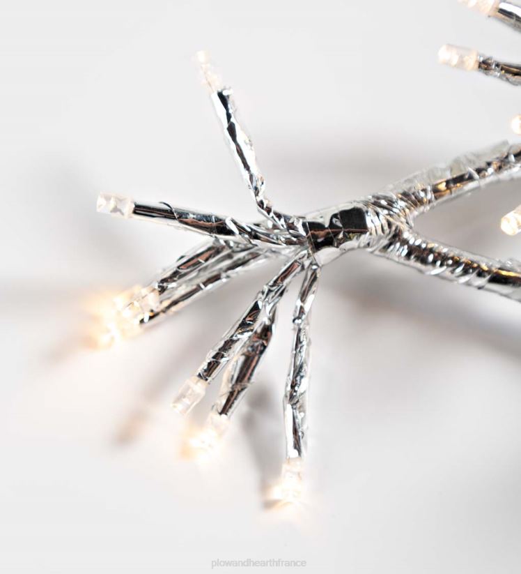 Plow & Hearth cour et jardin Décoration de vacances en forme d'étoile éclairée électrique intérieure/extérieure 0BNZ9