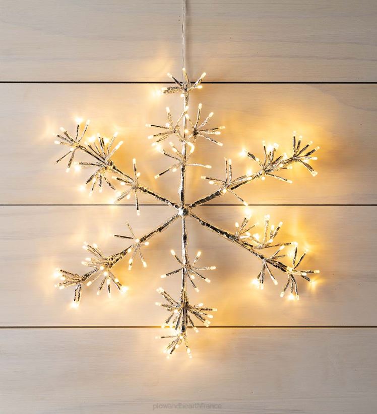 Plow & Hearth cour et jardin Décoration de vacances en forme de flocon de neige avec éclairage électrique intérieur/extérieur 0BNZ4