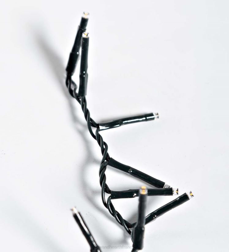 Plow & Hearth cour et jardin Guirlande lumineuse électrique intérieure/extérieure avec 500 LED blanc chaud ; 36'l 0BNZ38