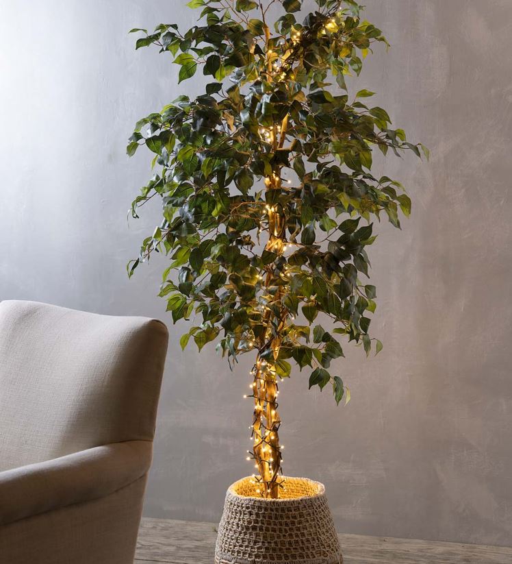 Plow & Hearth cour et jardin Guirlande lumineuse électrique intérieure/extérieure avec 500 LED blanc chaud ; 36'l 0BNZ38