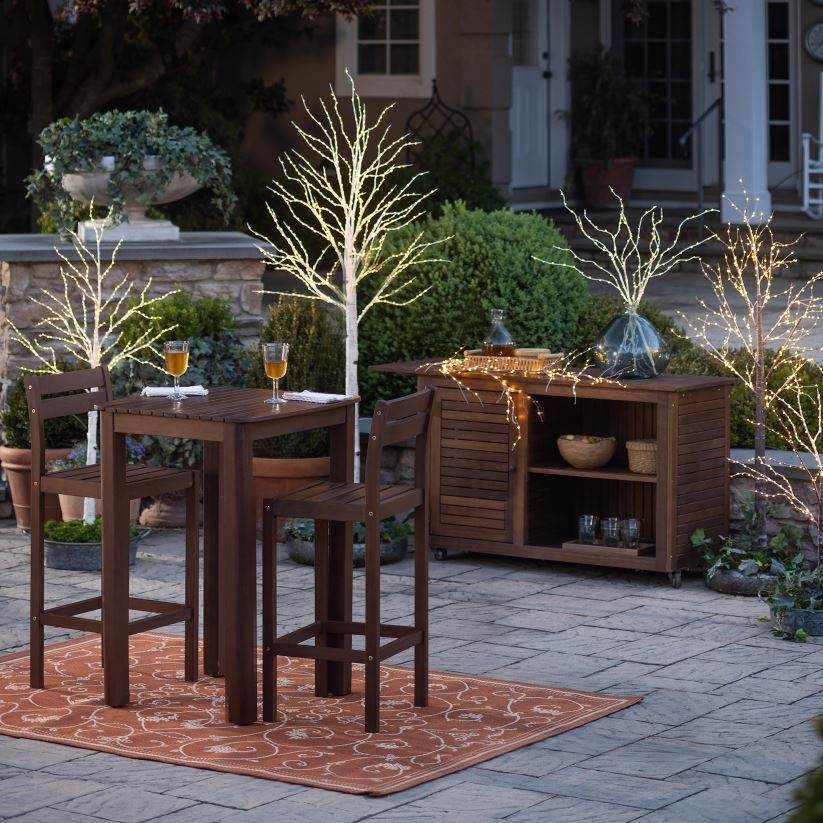 Plow & Hearth cour et jardin bouleau intérieur/extérieur avec des lumières blanches chaudes 0BNZ23