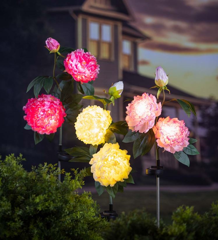 Plow & Hearth cour et jardin Piquet de jardin solaire pivoine rose clair 0BNZ257