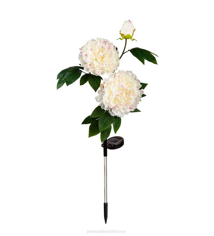 Plow & Hearth cour et jardin piquet de jardin solaire pivoine blanche 0BNZ171