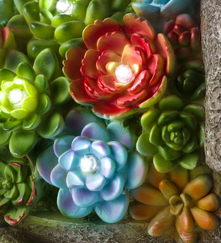 Plow & Hearth cour et jardin statue de jardin d'animaux en résine succulente éclairée à l'énergie solaire - hérisson 0BNZ221