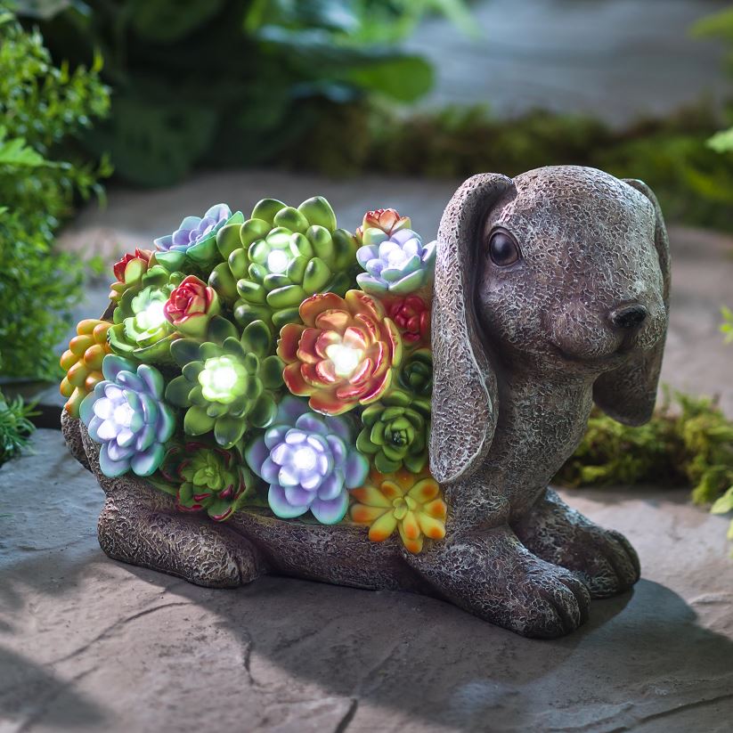 Plow & Hearth cour et jardin statue de jardin d'animaux en résine succulente éclairée à l'énergie solaire - hérisson 0BNZ221