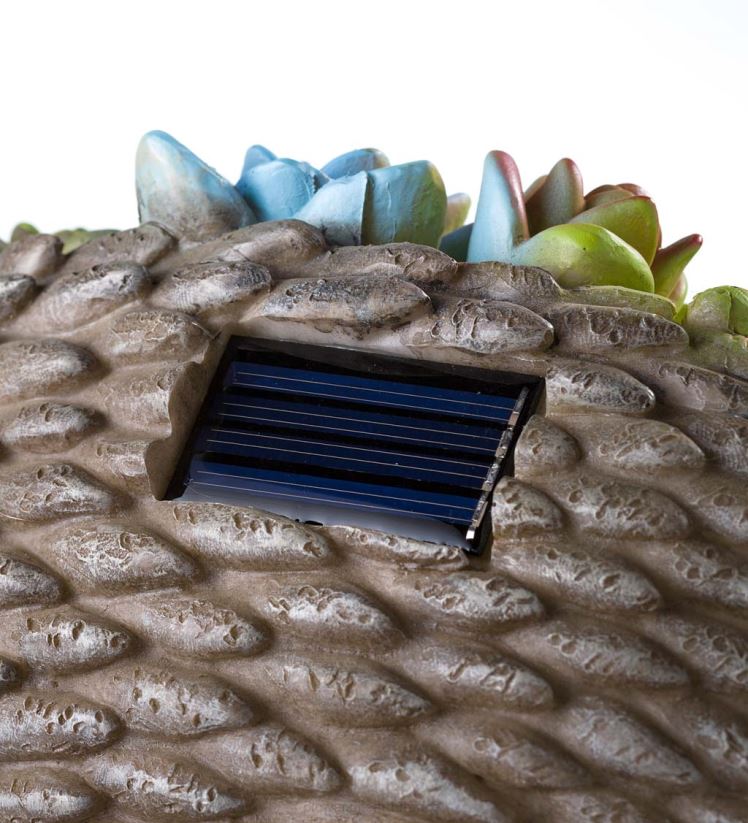 Plow & Hearth cour et jardin statue de jardin d'animaux en résine succulente éclairée à l'énergie solaire - hérisson 0BNZ221