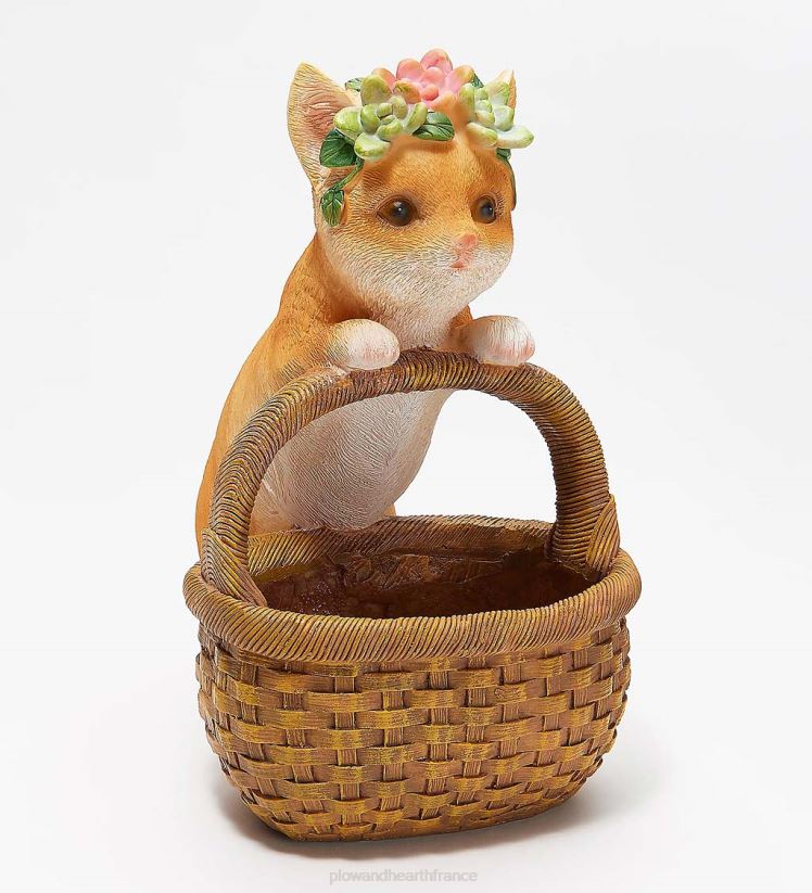 Plow & Hearth cour et jardin panier d'aide heureux planteur succulent - cochon 0BNZ996