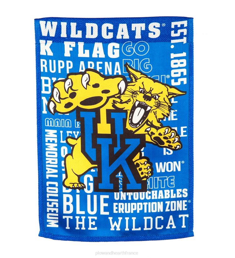 Plow & Hearth cour et jardin drapeau de maison en suède de fierté d'équipe d'université de règles de fan double face - univ d'oklahoma 0BNZ638