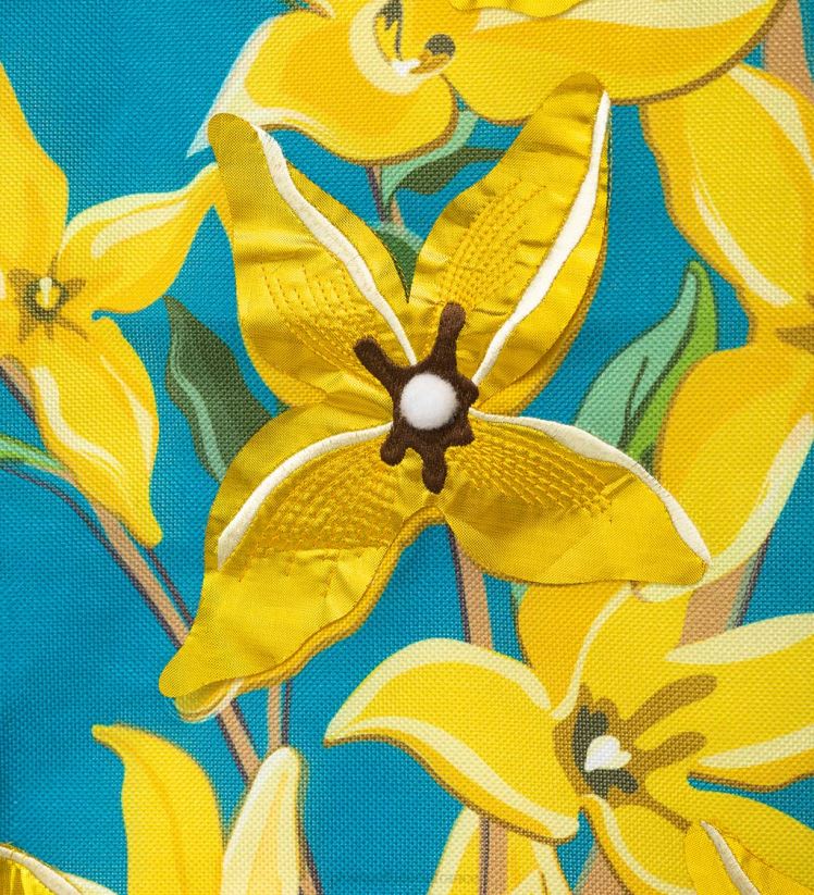 Plow & Hearth cour et jardin le forsythia et la mésange accueillent le drapeau du domaine 0BNZ636