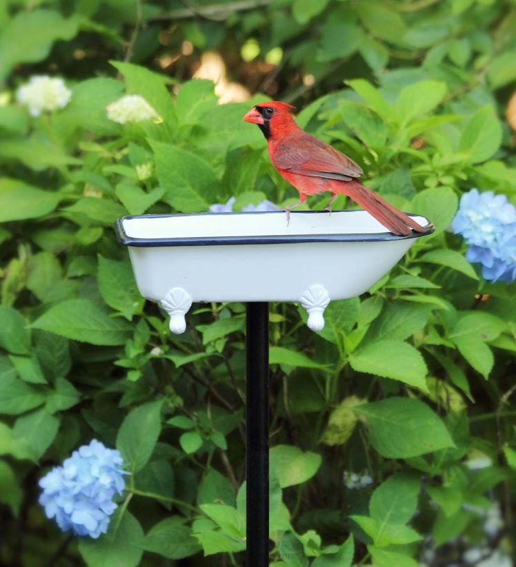 Plow & Hearth cour et jardin Bain d'oiseaux Splish Splash, laiton avec finition blanche - blanc 0BNZ847