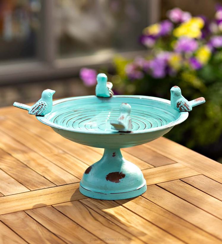 Plow & Hearth cour et jardin Bain d'oiseaux de table en métal pour oiseaux percheurs - blanc 0BNZ837