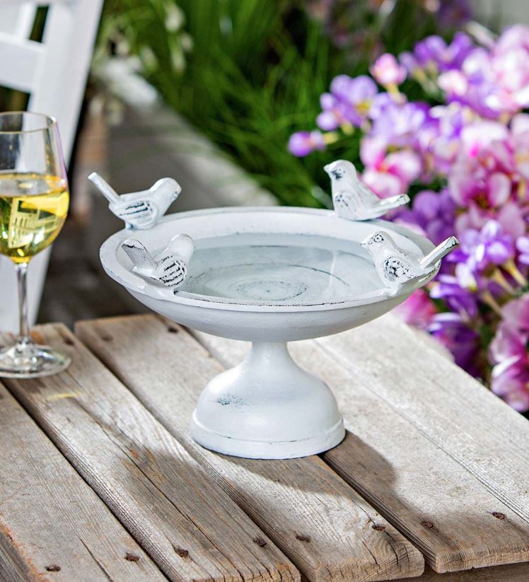 Plow & Hearth cour et jardin Bain d'oiseaux de table en métal pour oiseaux percheurs - blanc 0BNZ837