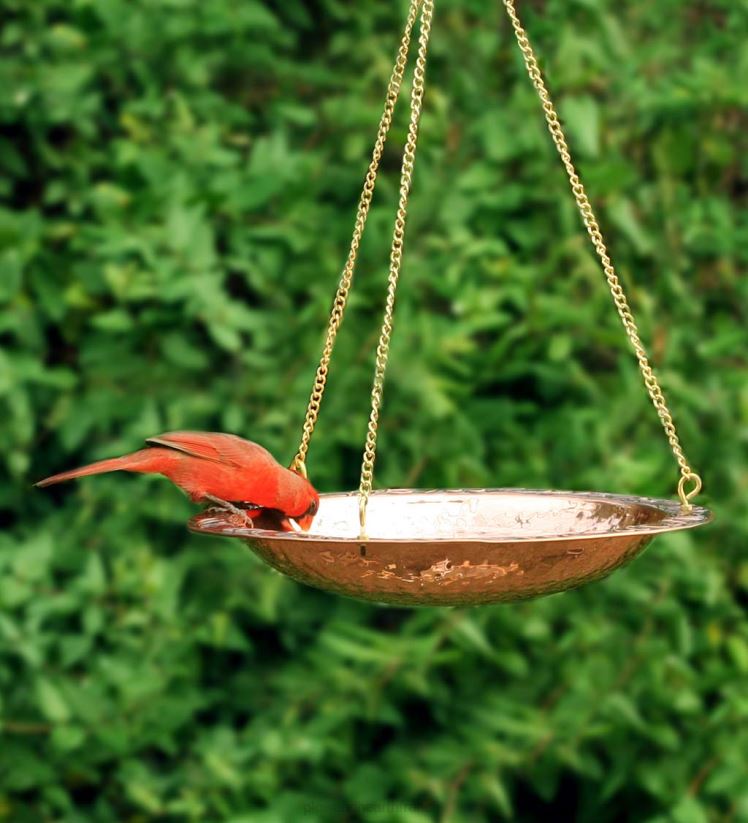 Plow & Hearth cour et jardin Bain d’oiseaux suspendu en cuivre pur sur une chaîne en laiton de 17