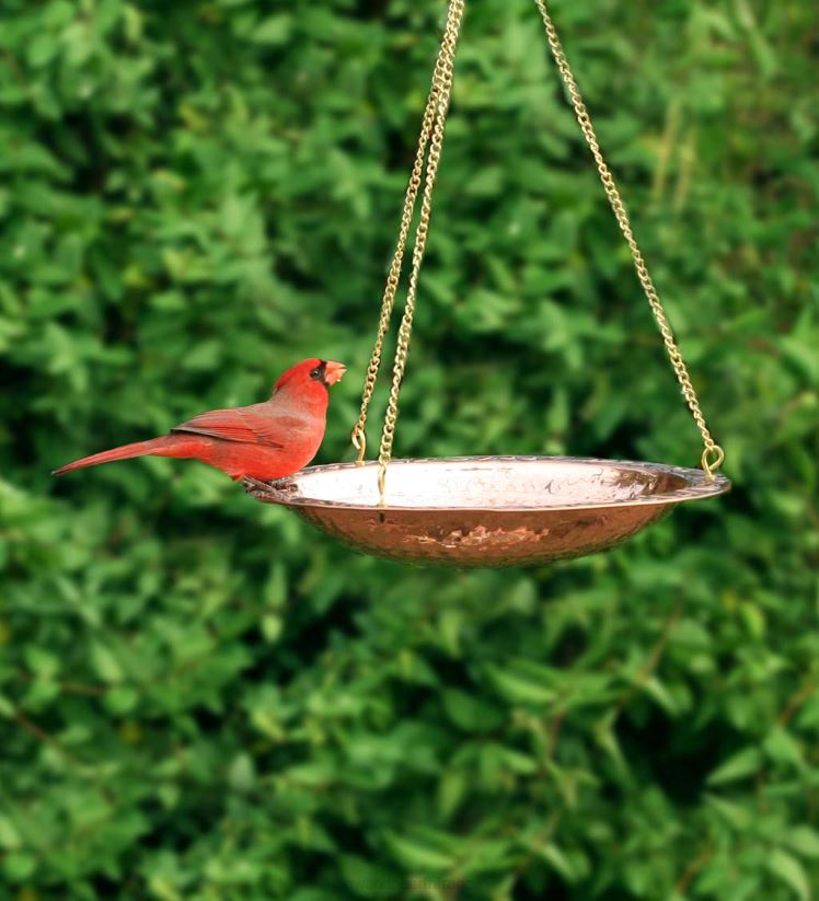 Plow & Hearth cour et jardin Bain d’oiseaux suspendu en cuivre pur sur une chaîne en laiton de 17