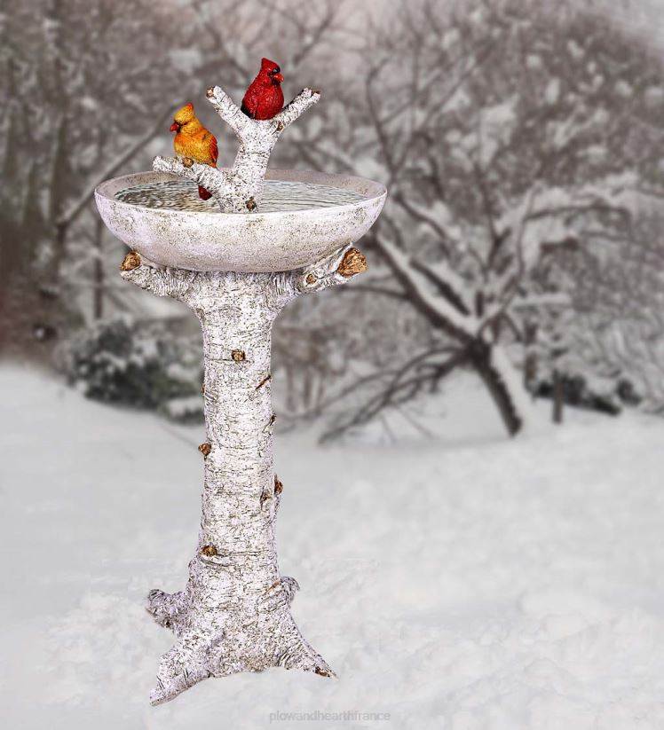 Plow & Hearth cour et jardin bain d'oiseaux en résine de bouleau avec cardinaux 0BNZ827