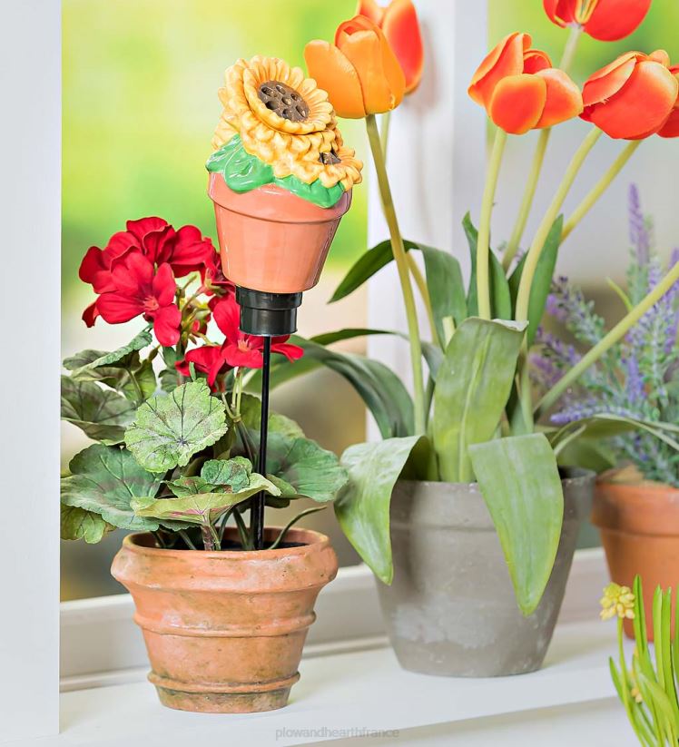 Plow & Hearth cour et jardin Piège à mouches des fruits et moucherons tout-en-un en céramique avec globe d'arrosage - champignon 0BNZ905