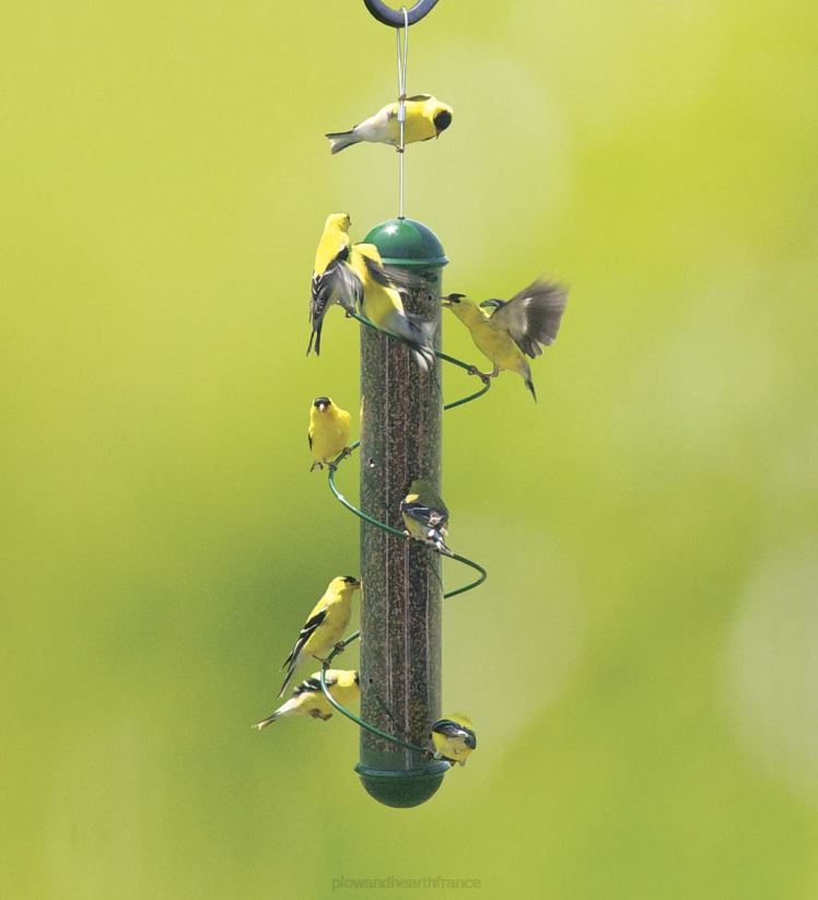 Plow & Hearth cour et jardin Mangeoire à oiseaux pour pinsons et perchoirs en spirale verte - vert 0BNZ810