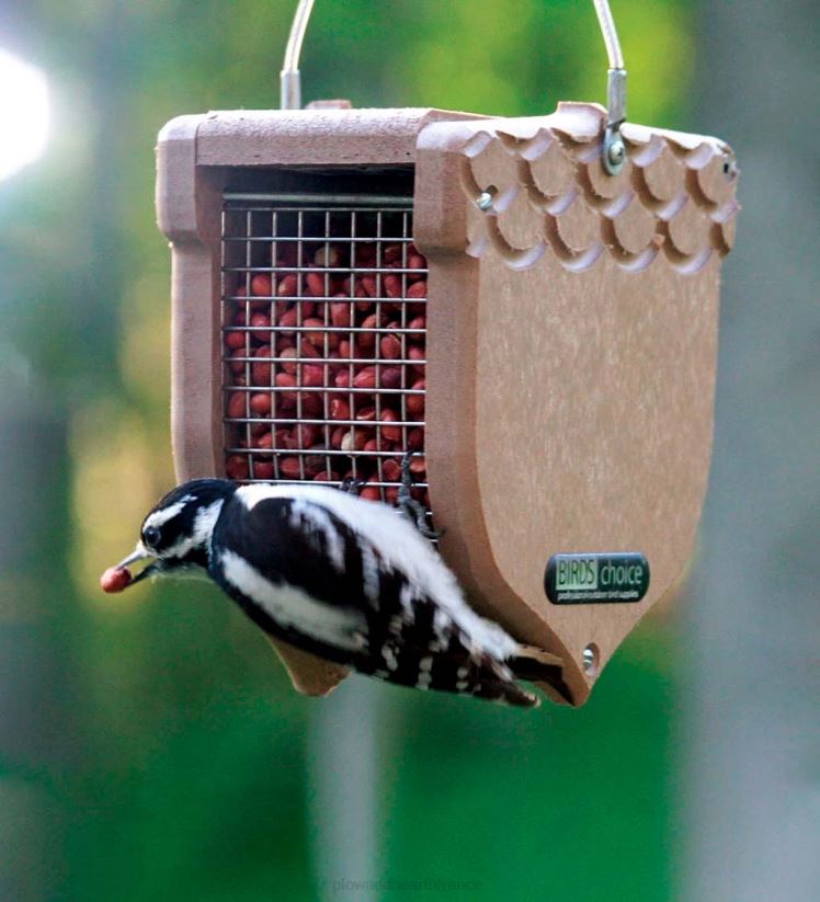 Plow & Hearth cour et jardin Mangeoire pour oiseaux en forme de gland en poly-bois recyclé - marron 0BNZ807