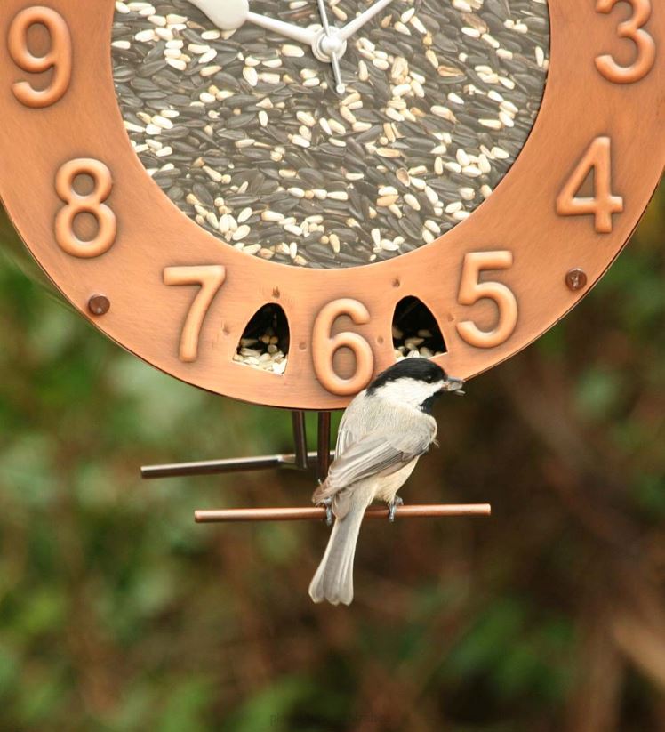 Plow & Hearth cour et jardin mangeoire à oiseaux en cuivre et plexiglas à motif d'horloge 0BNZ821