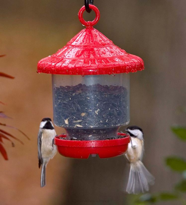 Plow & Hearth cour et jardin mangeoire à oiseaux suspendue - rouge 0BNZ765