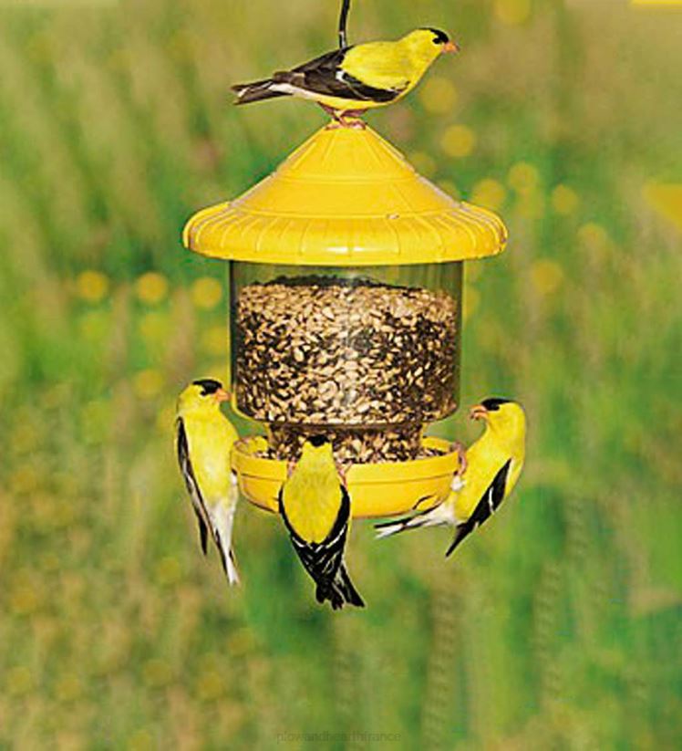Plow & Hearth cour et jardin mangeoire à oiseaux suspendue - rouge 0BNZ765