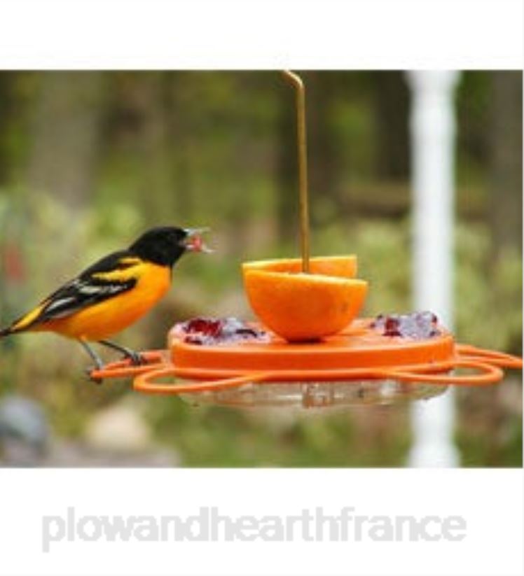 Plow & Hearth cour et jardin mangeoire à orioles oriolefest, 12 oz. 0BNZ824