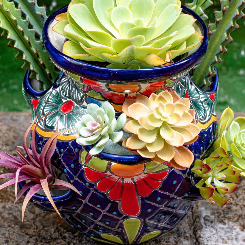 Plow & Hearth cour et jardin grand pot de fraises talavera bleu royal 0BNZ939