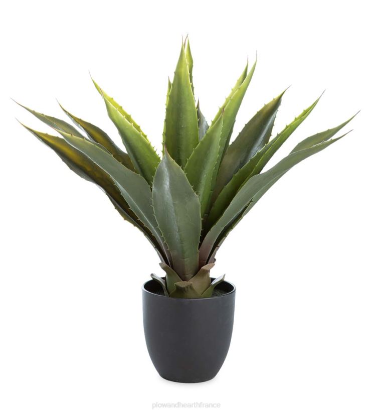 Plow & Hearth cour et jardin grande fausse vraie plante d'agave 0BNZ3239