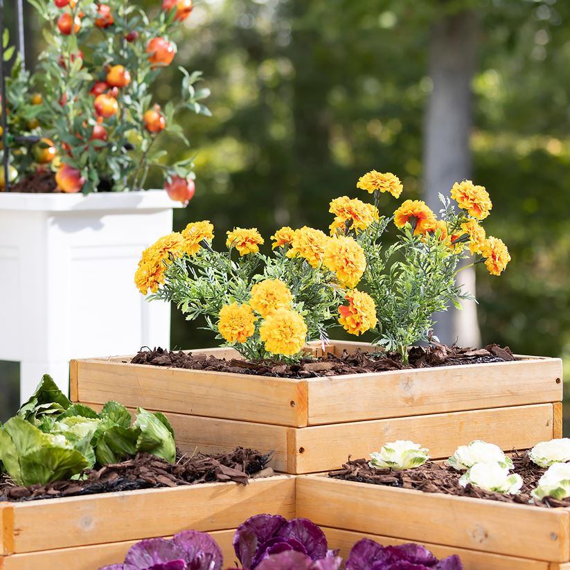Plow & Hearth cour et jardin jardinière de jardin surélevée autonome à quatre cubes en bois 0BNZ909